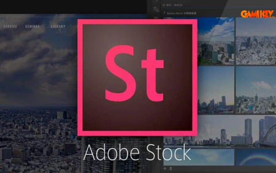 Cung cấp giấy phép quốc tế vĩnh viễn cho người dùng sử dụng