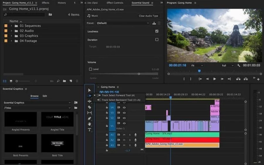 Professional video editing workflow in Premiere Pro