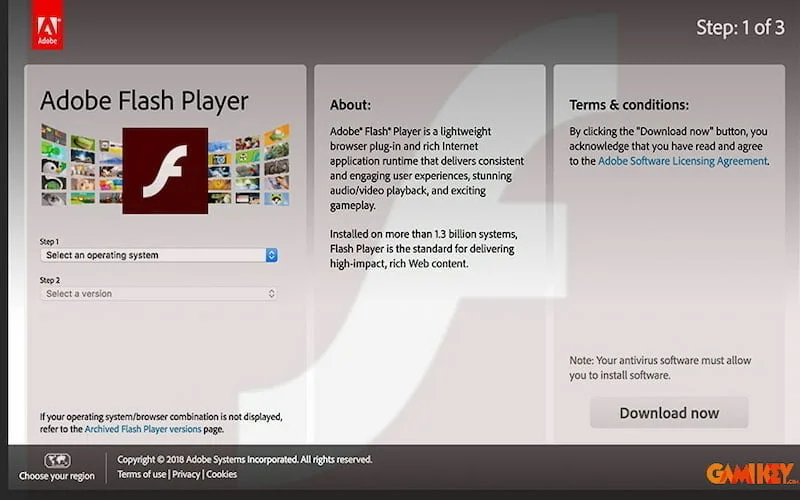Adobe Flash Player overview