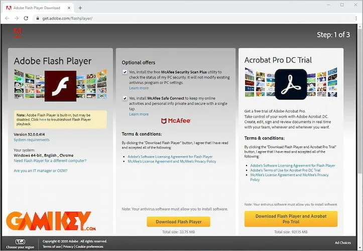 Adobe Flash Player performance
