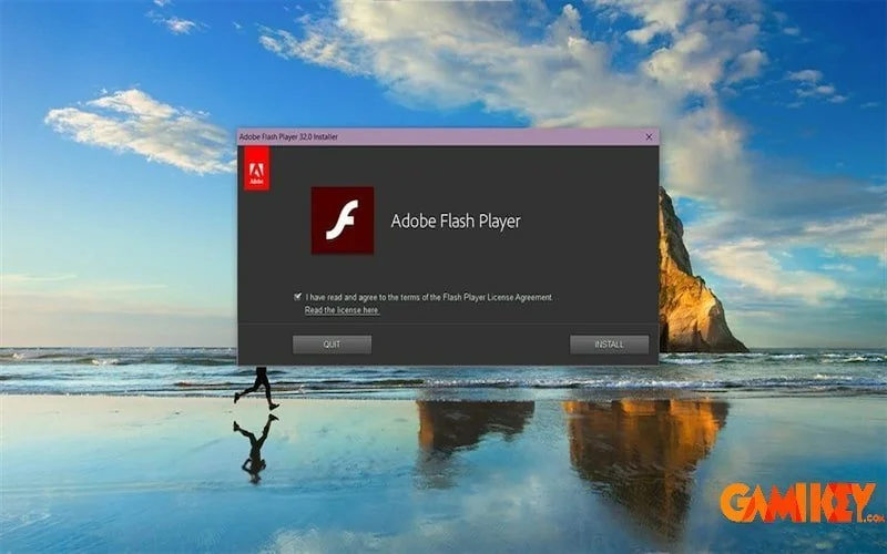 Adobe Flash Player advantages