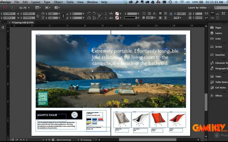 Adobe InDesign interface
