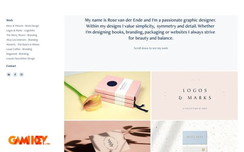 Overview of Adobe Portfolio interface