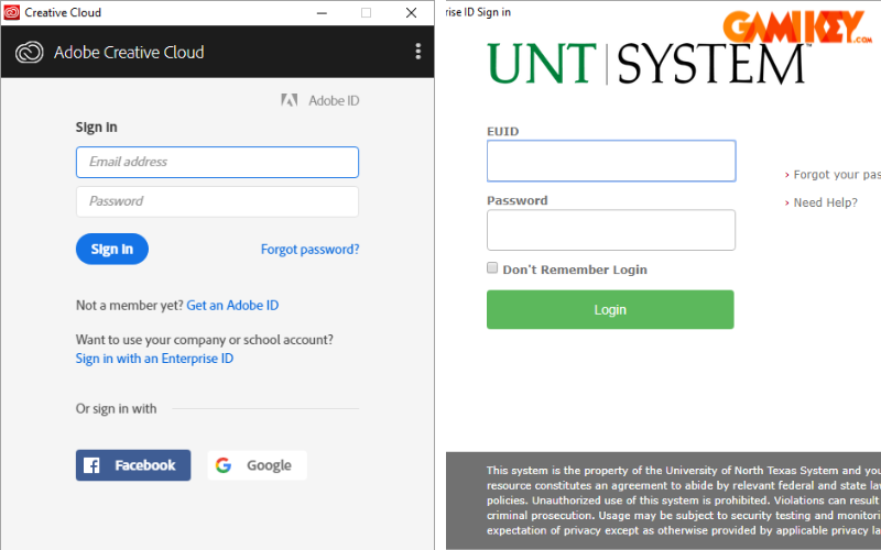 Authentication process