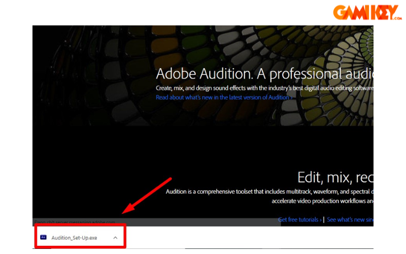 Running the installer