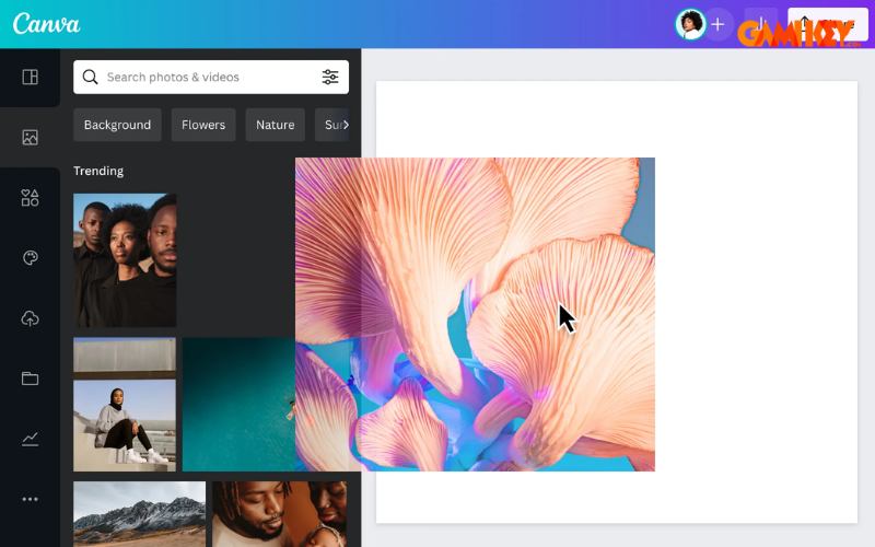 AI tool for generating images from text