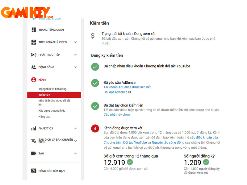 monetized YouTube channel