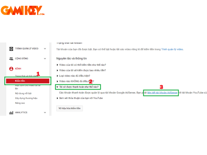 monetized YouTube channel