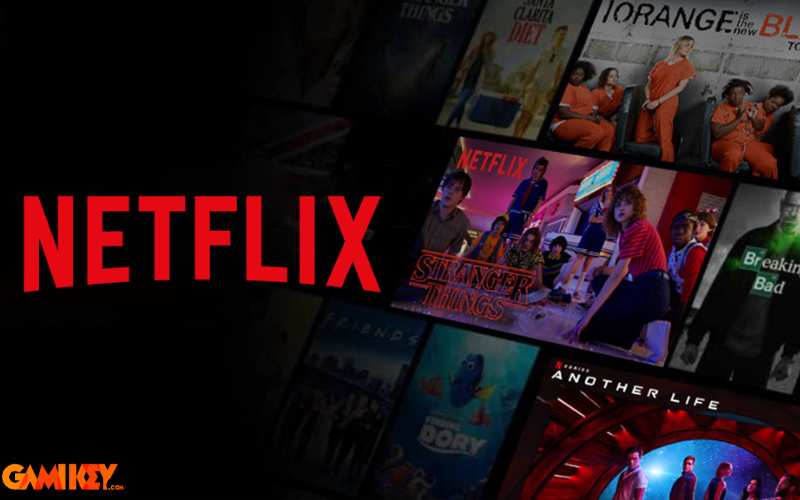 netflix premium (2)