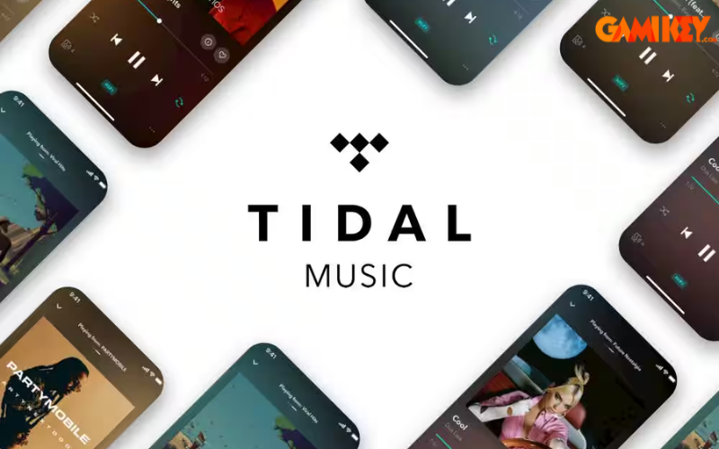 Understanding Tidal HiFi