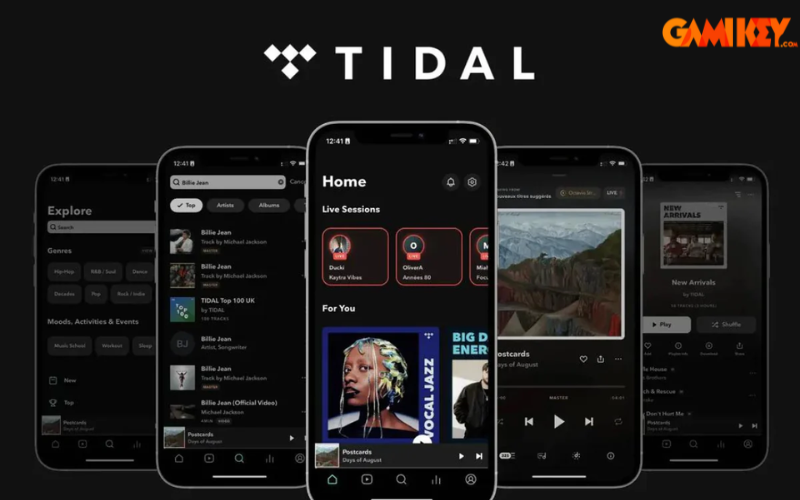 Tidal HiFi Advantages